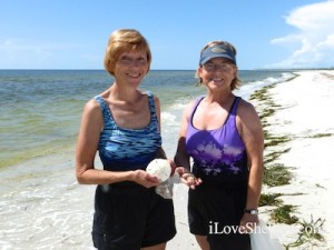 beth barb kentucky visti cayo costa florida shelling beth barb kentucky visti cayo costa florida shelling