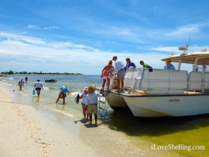 cayo costa cruises shelling iLoveShelling cayo costa cruises shelling iLoveShelling