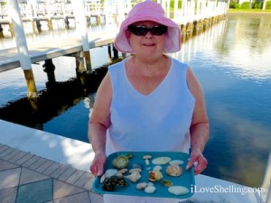 jan kentucky visit captiva seashells jan kentucky visit captiva seashells