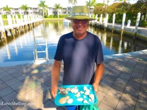 jerry captiva seashells jerry captiva seashells