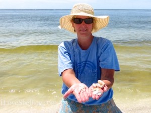 rachel seashells cayo costa rachel seashells cayo costa