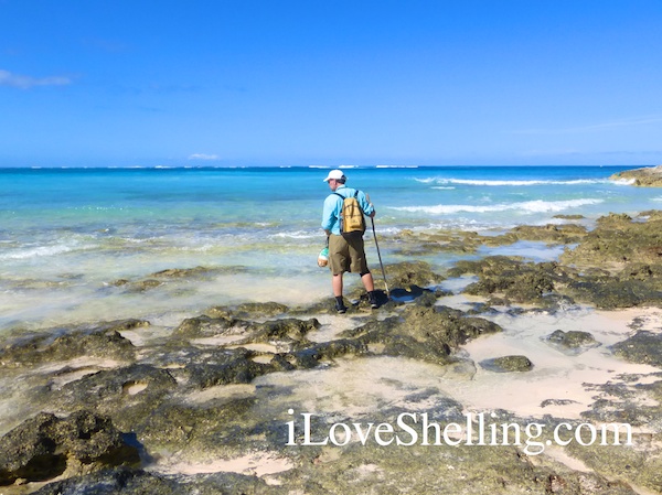 beach combing cat island bahamas clark rambo