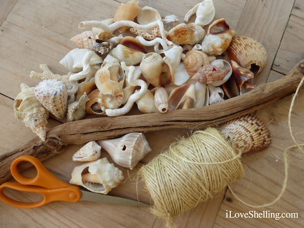 Broken+Seashell+Crafts This is so easy, y’all! I picked out the shells I want to use and ...
