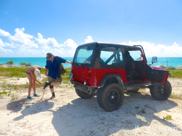 cat island jeep through sand burrs