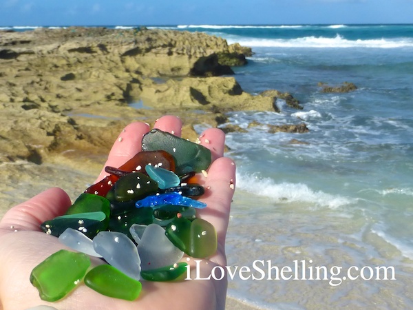 seaglass beach cat island bahamas