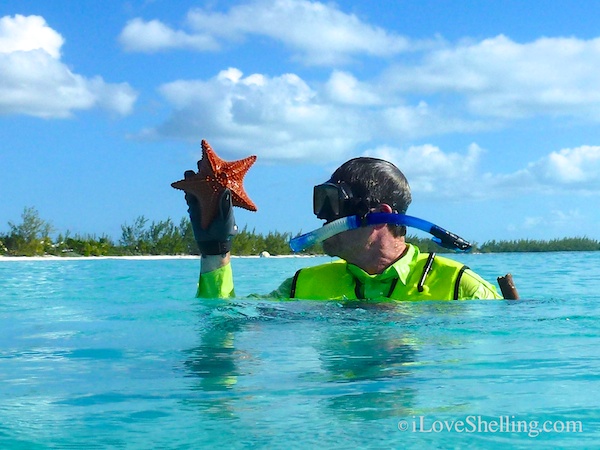 snorkeling cat island bahamas