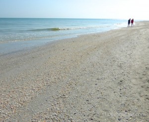 calm collecting shells calm collecting shells
