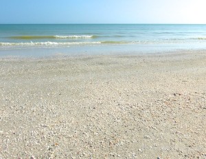 peaceful retreat and shells on the beach of Sanibel Island peaceful retreat and shells on the beach of Sanibel Island