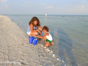 collecting dosinia seashells on Sanibel collecting dosinia seashells on Sanibel