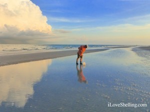 exploring low tide on Sanibel Island exploring low tide on Sanibel Island