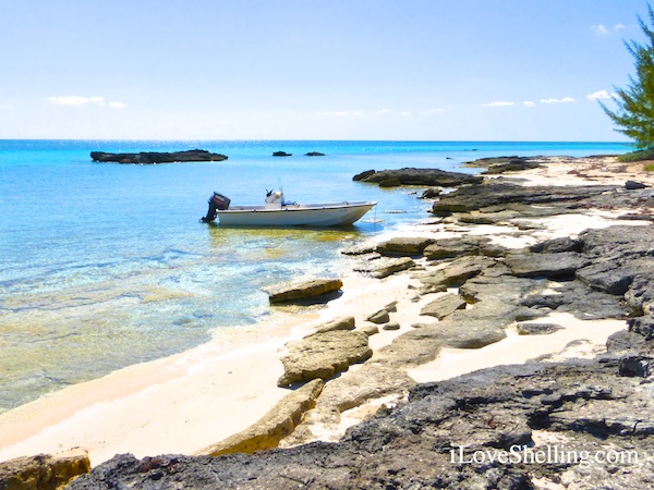 private guide boat in grand bahamas