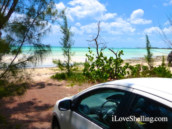 rented car on grand bahama island
