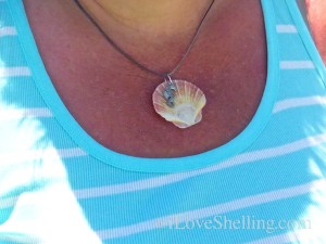 how to make flat scallop shell into necklace how to make flat scallop shell into necklace