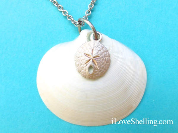 seashell necklace with silver charm