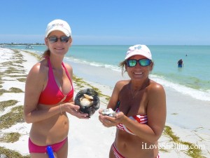 teresa elaine from pan handle visit cayo costa teresa elaine from pan handle visit cayo costa