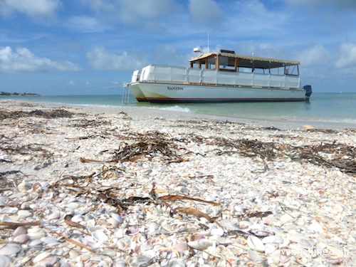 Captiva Cruises shelling boat Santiva