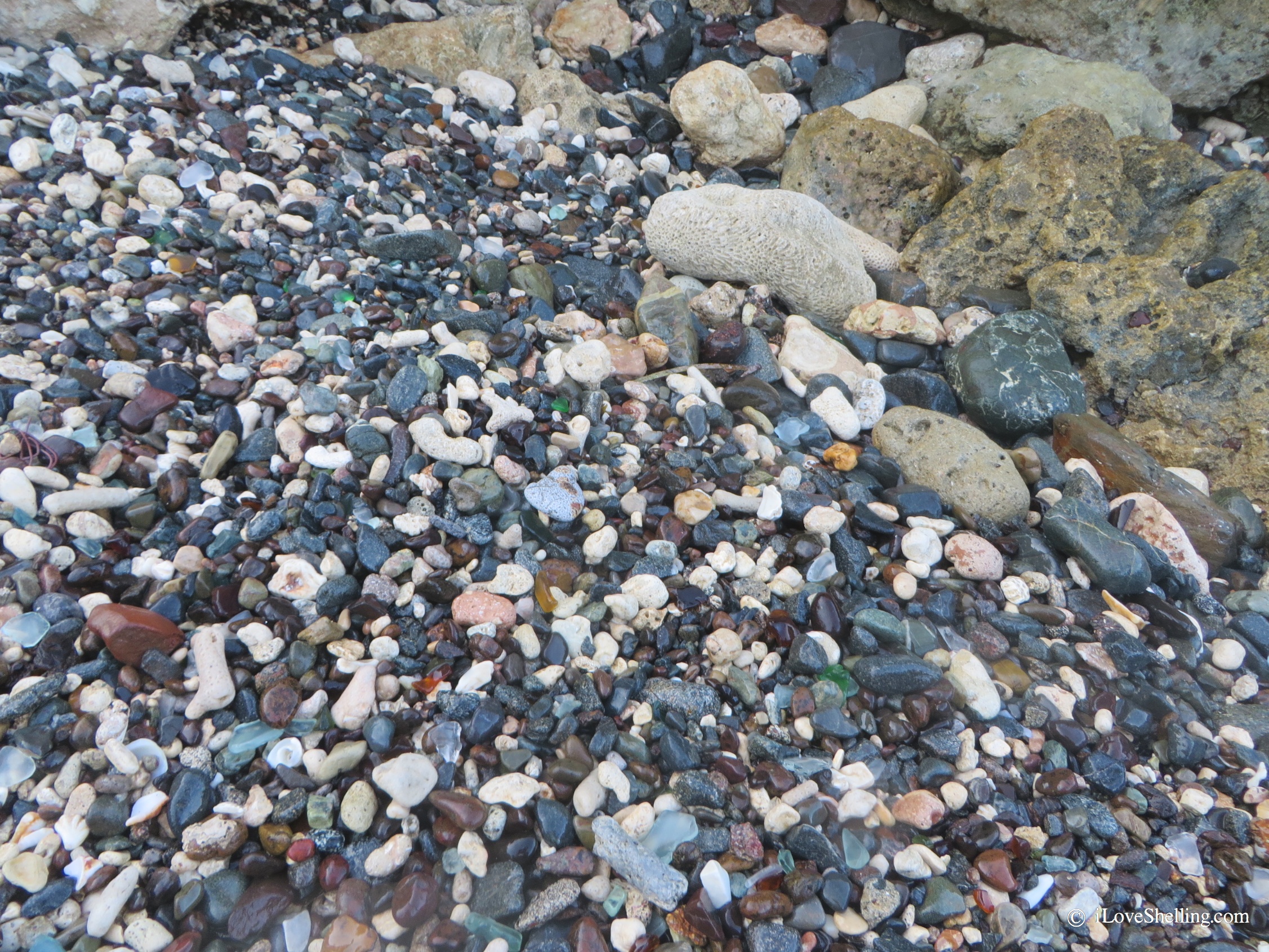 Mind Blowing Beach Bling in Guantanamo Bay i Love Shelling