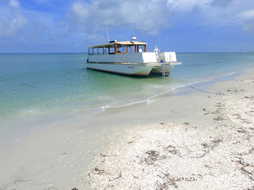 boating to seashell paradise in Florida