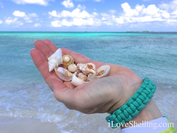 beach combing Abaco Bahamas