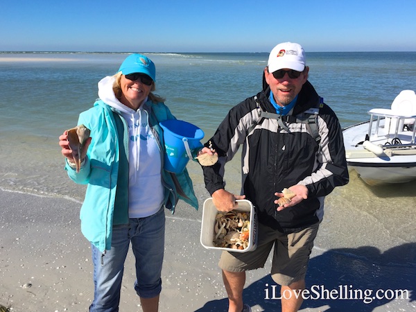 pam clark rambo shelling clearwater beach florida