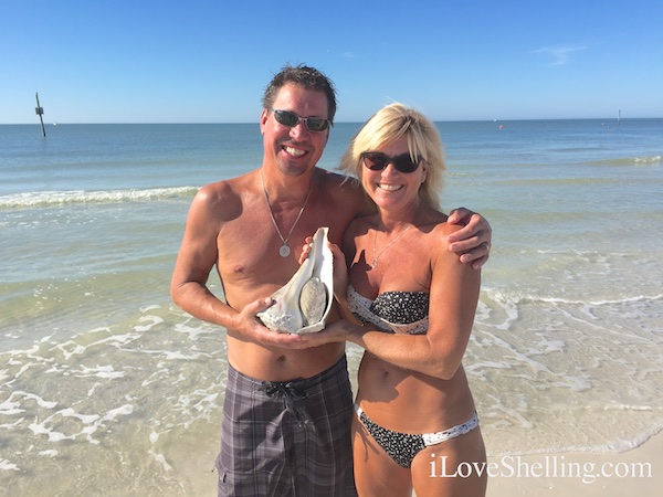 Dave Susie find huge live Whelk Clearwater Beach Florida