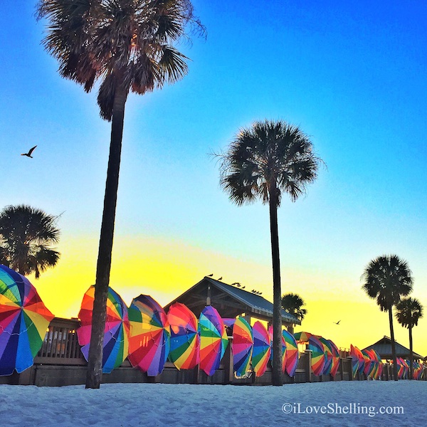 Pier 60 Sunset Clearwater Beach