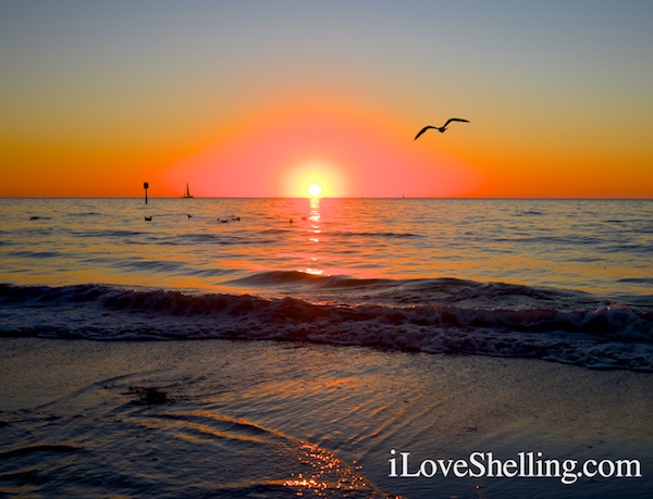 Sunset at Pier 60 Clearwater Beach Florida