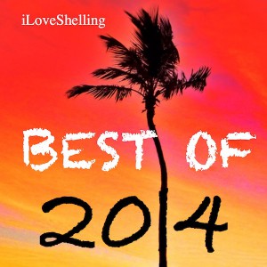 i Love Shelling best beachcombing of 2014