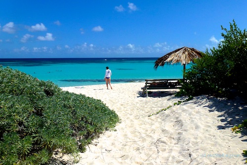 BVI British Virgin Island beach path to seashells