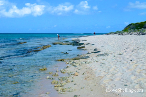 beach combing British Virgin Island BVI