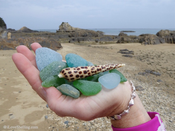 Collecting beach glass and seashells in Okinawa Japan