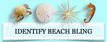 identify beach bling 