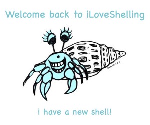 iLoveShelling aqua hermit junonia shell c