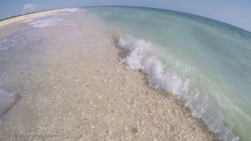 Bowmans Beach seashells waves