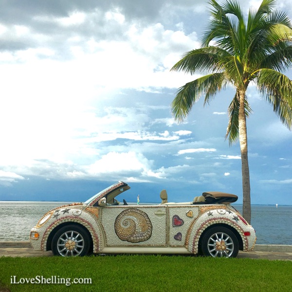 shell love bug vw seashell car