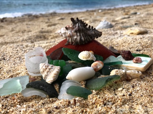 beach-combing-eluethera-seaglass-seashells-1