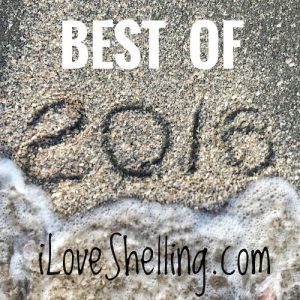 best of 2016 beachcombing