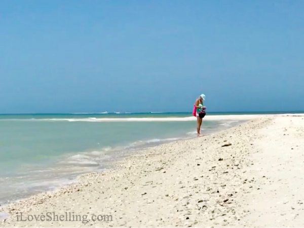 beachcombing kice island collier county