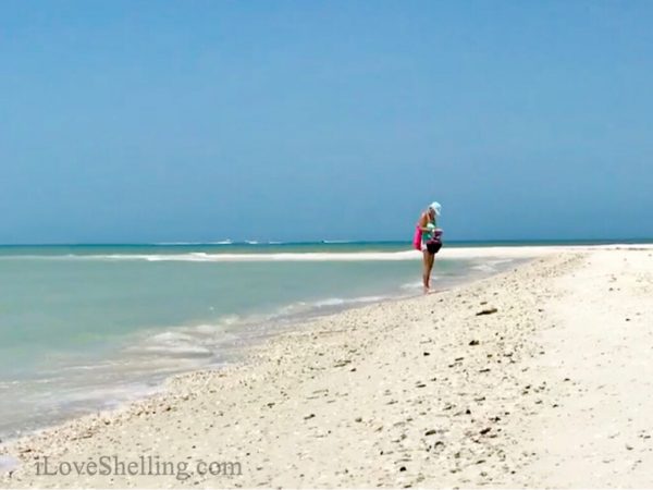 beachcombing kice island collier county