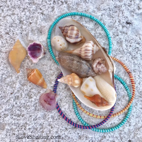 seashells bracelets