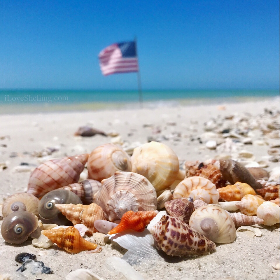 american flag on the beach with seashells