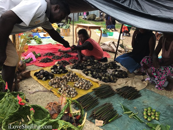 Munda market selling shells
