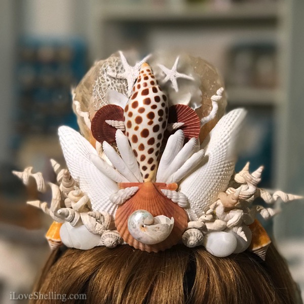 seashell shell crown tiara Pam Rambo junonia