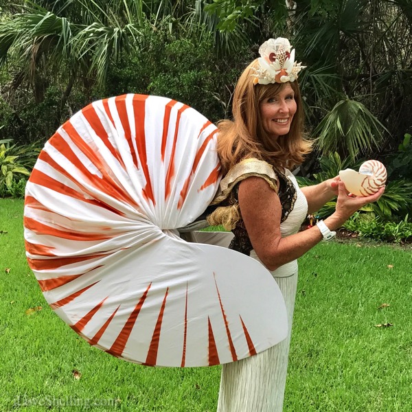 Nautilus Shell Queen Shelleopatra Pam Rambo