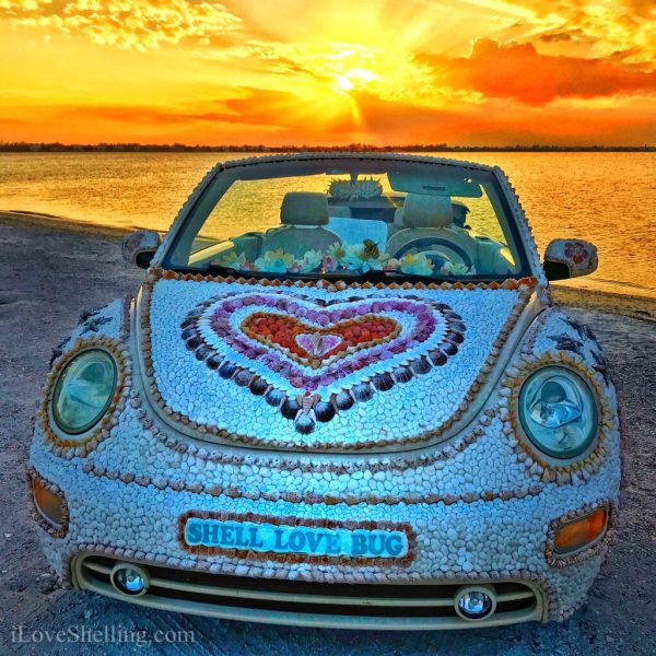 Shellbatical over Shell Love Bug 