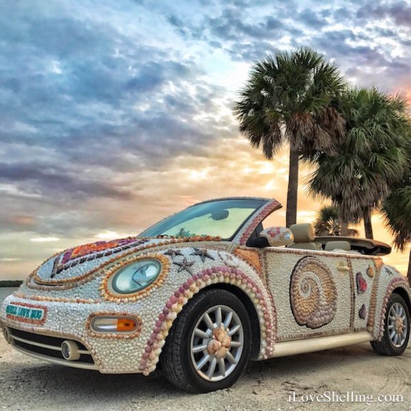 Shell Love Bug petition