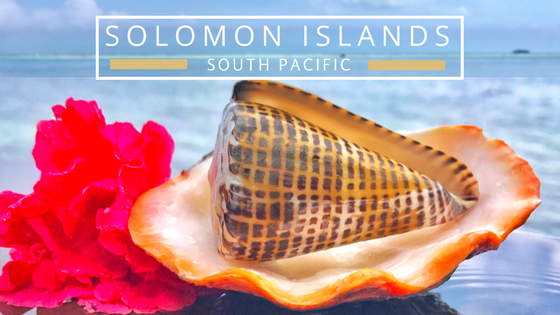 Finding seashells in Solomon Islands Indo Pacific