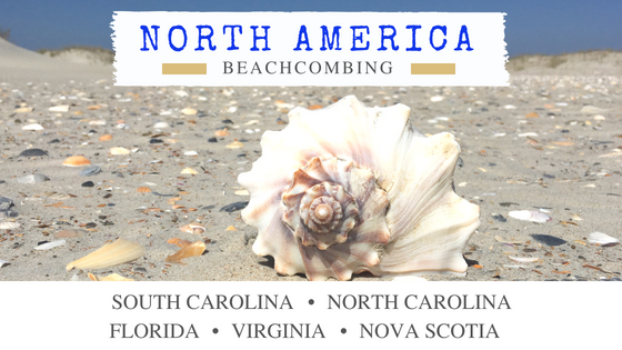 North America beachcombing and shelling travel destinations