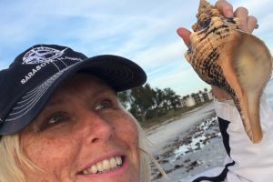 Beach Combing Surprise Seashell Beach Combing Surprise Seashell