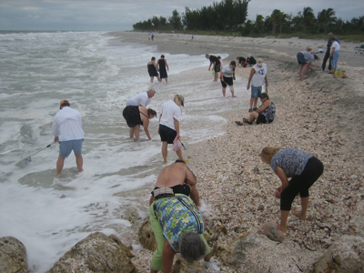 Incoming Shells at Blind Pass | I Love Shelling